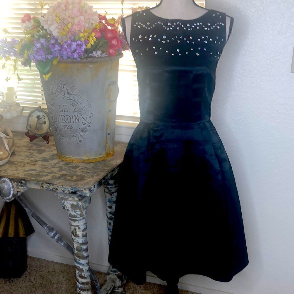 Lotus Grace Black Satin Fit and Flare Dress